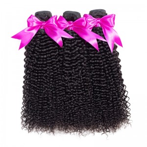 Wigfever Kinky Curly Virgin Human Hair Weft 3pcs Bundle Deal For Black Women