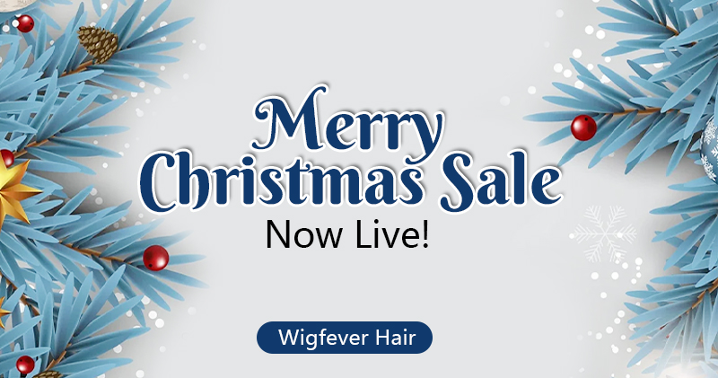 christmas wig sale